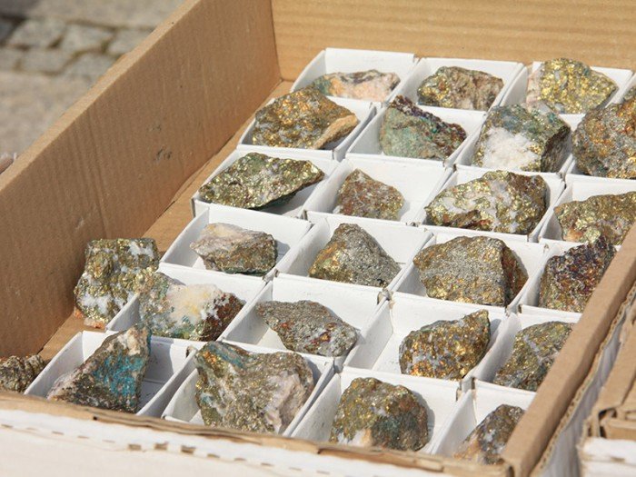 po-giedzie-mineraow-i-skamieniaosci-foto-57971