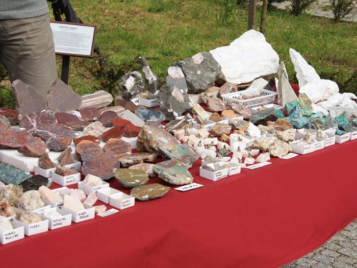 po-giedzie-mineraow-i-skamieniaosci-foto-57971