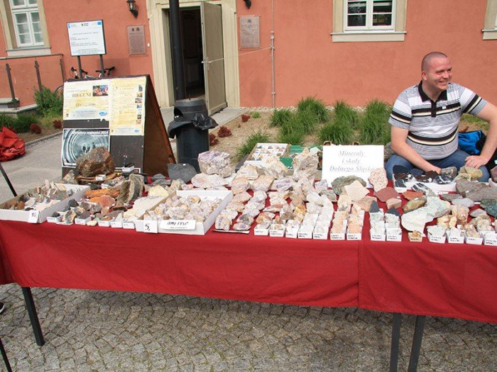 po-giedzie-mineraow-i-skamieniaosci-foto-57971