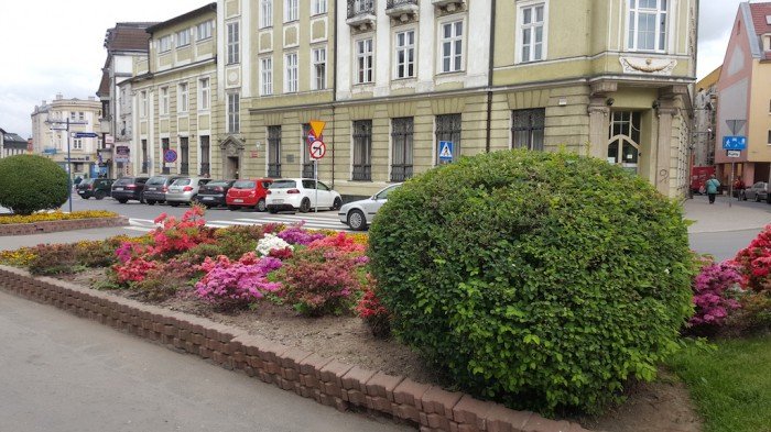 wpad-zodziej-naszych-miejskich-kwiatow-foto-video-58137