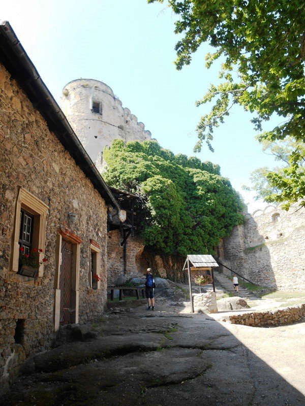 zamek-w-rozsypce-pilnie-potrzebny-remont-foto-58150