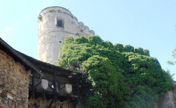 zamek-w-rozsypce-pilnie-potrzebny-remont-foto-58150