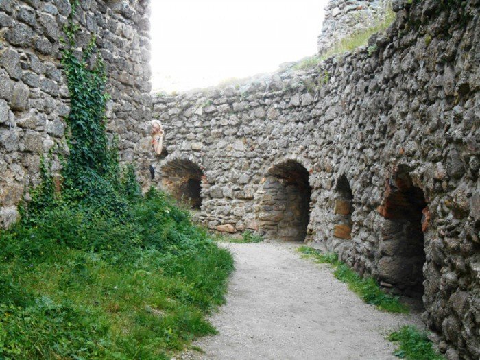 zamek-w-rozsypce-pilnie-potrzebny-remont-foto-58150