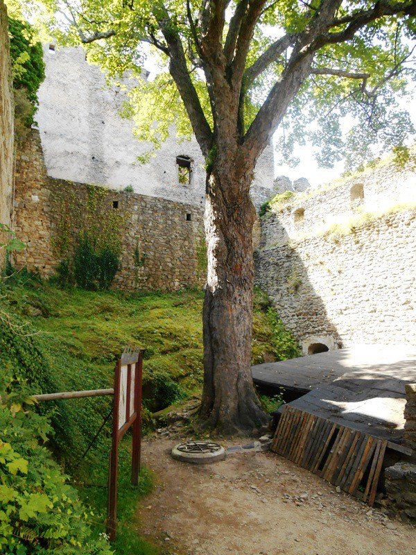 zamek-w-rozsypce-pilnie-potrzebny-remont-foto-58150