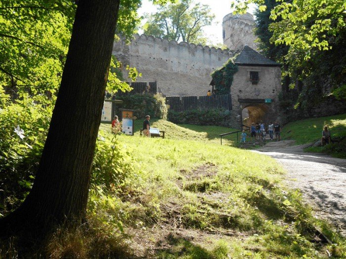zamek-w-rozsypce-pilnie-potrzebny-remont-foto-58150
