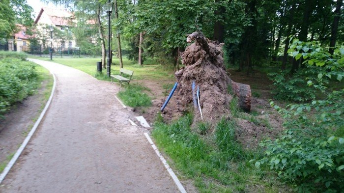 czytelnik-park-zdrojowy-zaniedbany-foto-58242