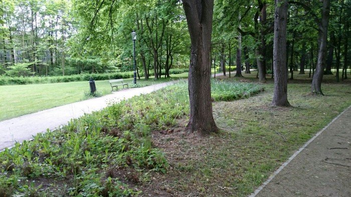 czytelnik-park-zdrojowy-zaniedbany-foto-58242