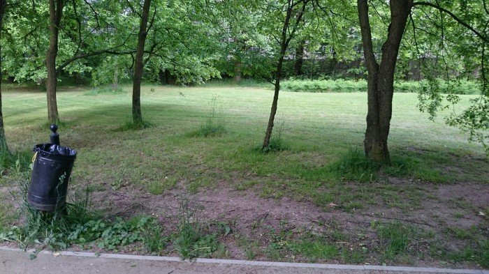 czytelnik-park-zdrojowy-zaniedbany-foto-58242