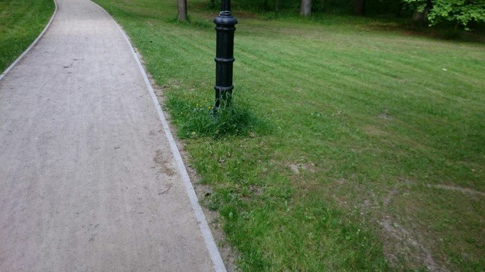 czytelnik-park-zdrojowy-zaniedbany-foto-58242
