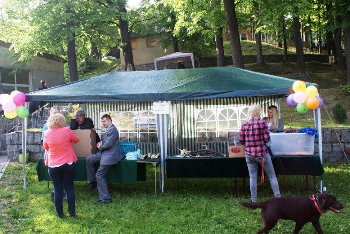 niezwyka-impreza-integracyjna-przy-lesnej-foto-58246
