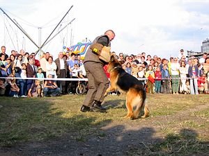 zabobrzanski-piknik-ze-straza-miejska-5827