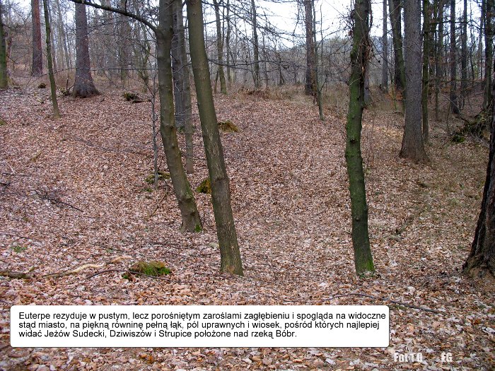 helikon-i-gora-muz-zapraszamy-na-wycieczke-foto-58292