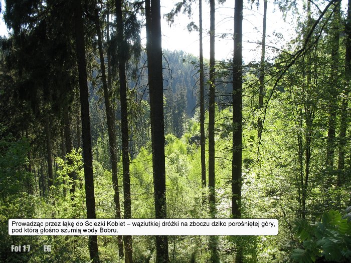 helikon-i-gora-muz-zapraszamy-na-wycieczke-foto-58292