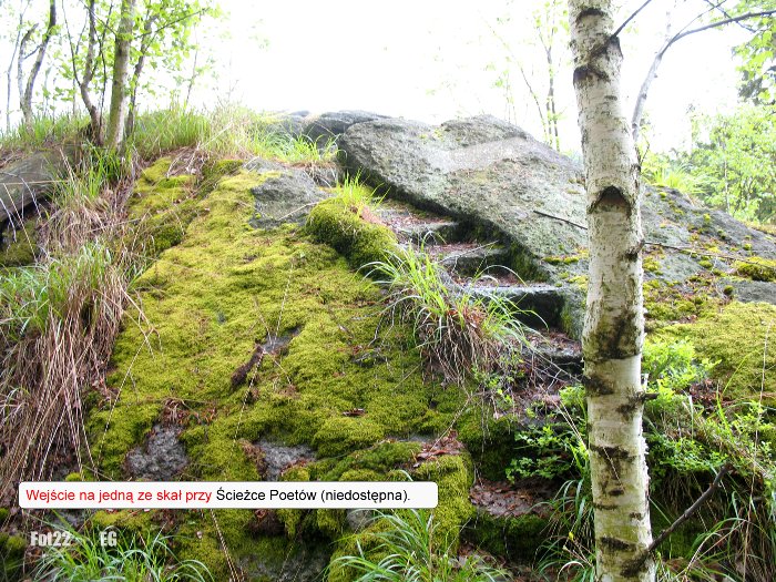helikon-i-gora-muz-zapraszamy-na-wycieczke-foto-58292