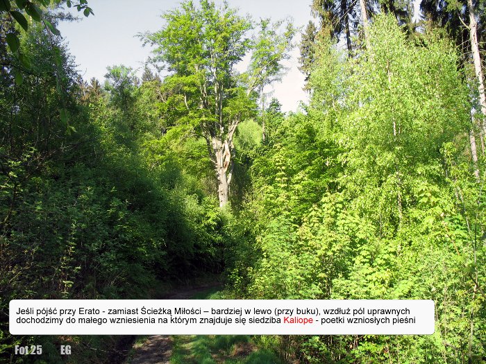 helikon-i-gora-muz-zapraszamy-na-wycieczke-foto-58292