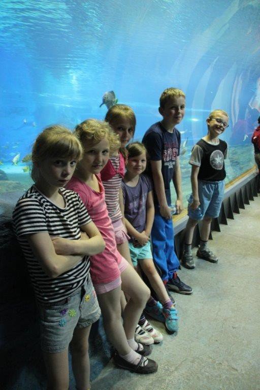 wspaniaa-wyprawa-dzieki-wielkim-sercom-foto-58306