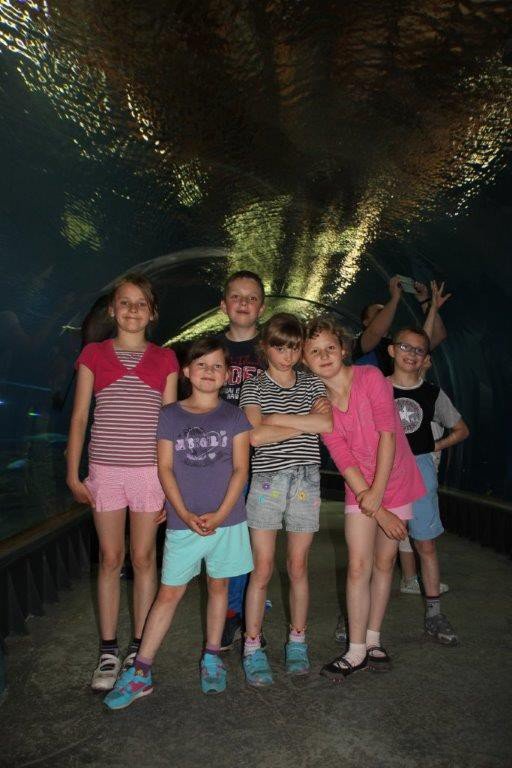 wspaniaa-wyprawa-dzieki-wielkim-sercom-foto-58306
