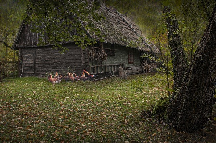 wies-utracona-w-obiektywie-waldemara-grzelaka-foto-58351