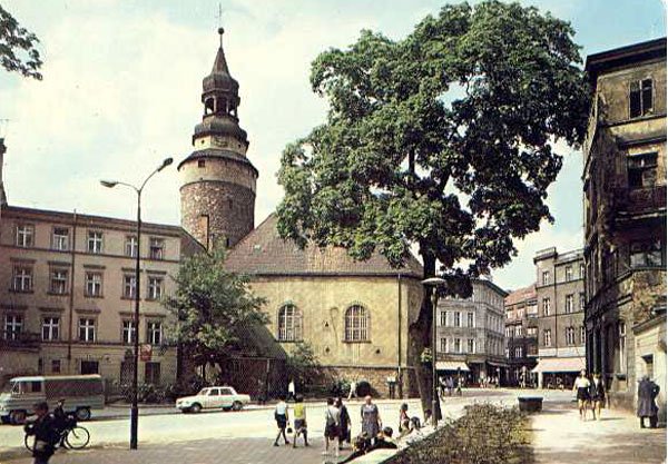 To samo miejsce 20 lat później: widać, jak wiele ubyło drzew.