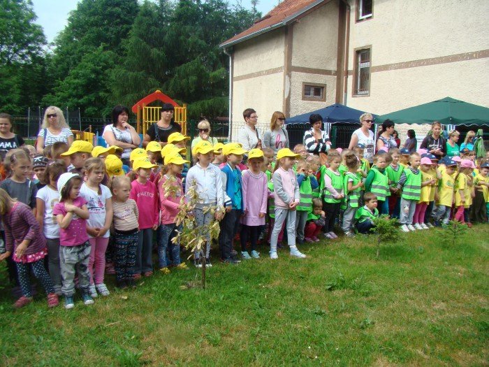 terenowe-biegi-przedszkolaka-juz-po-raz-drugi-foto-58410