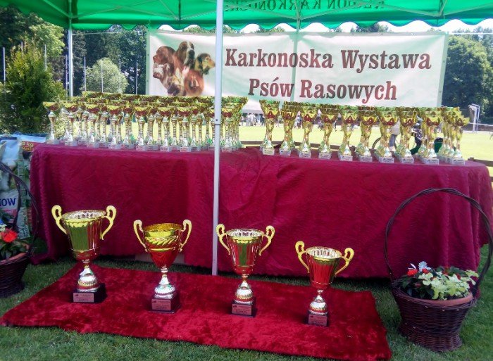 karkonoska-wystawa-psow-byo-co-ogladac-foto-58440