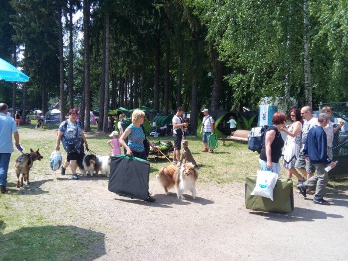 karkonoska-wystawa-psow-byo-co-ogladac-foto-58440