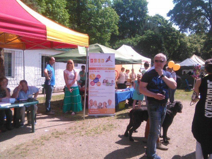 karkonoska-wystawa-psow-byo-co-ogladac-foto-58440