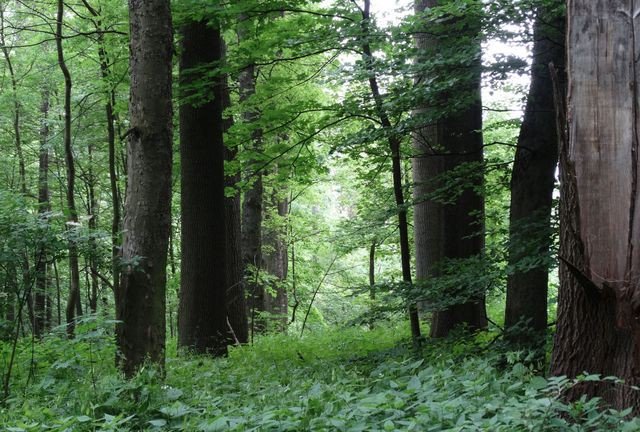 tropem-muz-na-jeleniogorski-helikon-foto-58481
