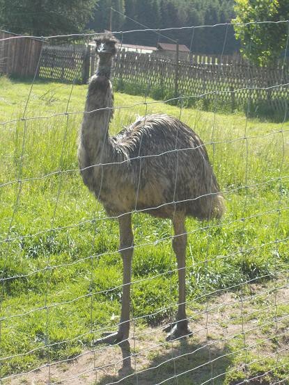u-egzotycznych-mieszkancow-zoo-w-acznej-foto-58500