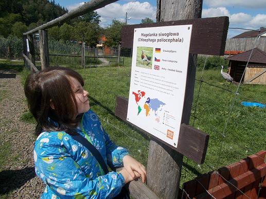 u-egzotycznych-mieszkancow-zoo-w-acznej-foto-58500