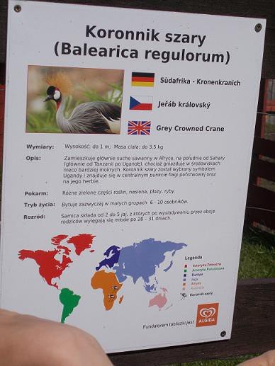 u-egzotycznych-mieszkancow-zoo-w-acznej-foto-58500
