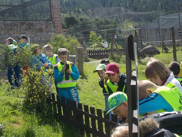 u-egzotycznych-mieszkancow-zoo-w-acznej-foto-58500