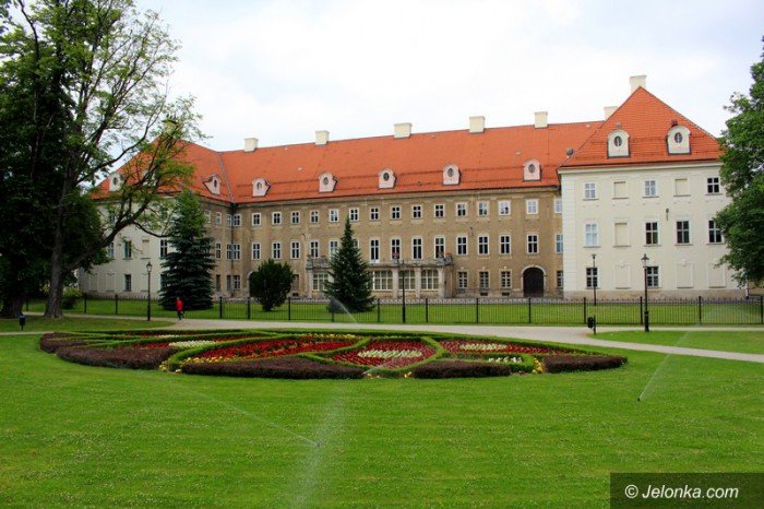 ponad-18-tysiecy-nowych-nasadzen-w-parku-zdrojowym-foto-58533