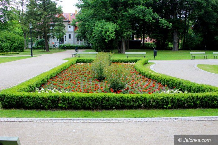 ponad-18-tysiecy-nowych-nasadzen-w-parku-zdrojowym-foto-58533