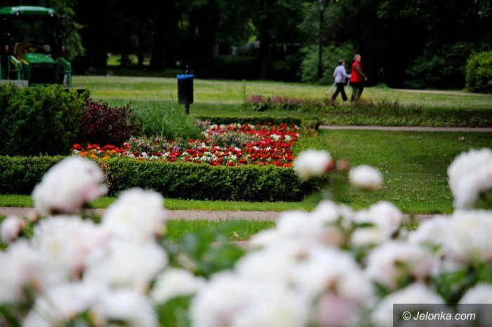 ponad-18-tysiecy-nowych-nasadzen-w-parku-zdrojowym-foto-58533