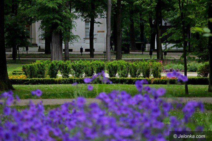 ponad-18-tysiecy-nowych-nasadzen-w-parku-zdrojowym-foto-58533
