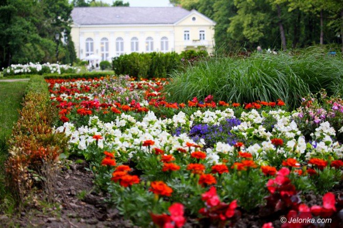 ponad-18-tysiecy-nowych-nasadzen-w-parku-zdrojowym-foto-58533