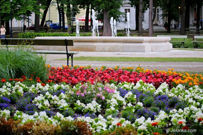 ponad-18-tysiecy-nowych-nasadzen-w-parku-zdrojowym-foto-58533