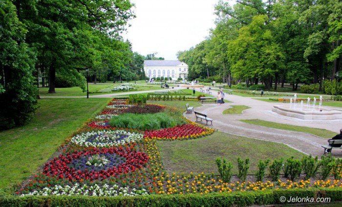 ponad-18-tysiecy-nowych-nasadzen-w-parku-zdrojowym-foto-58533