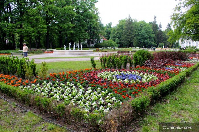ponad-18-tysiecy-nowych-nasadzen-w-parku-zdrojowym-foto-58533