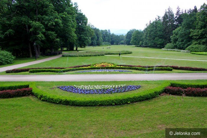 ponad-18-tysiecy-nowych-nasadzen-w-parku-zdrojowym-foto-58533