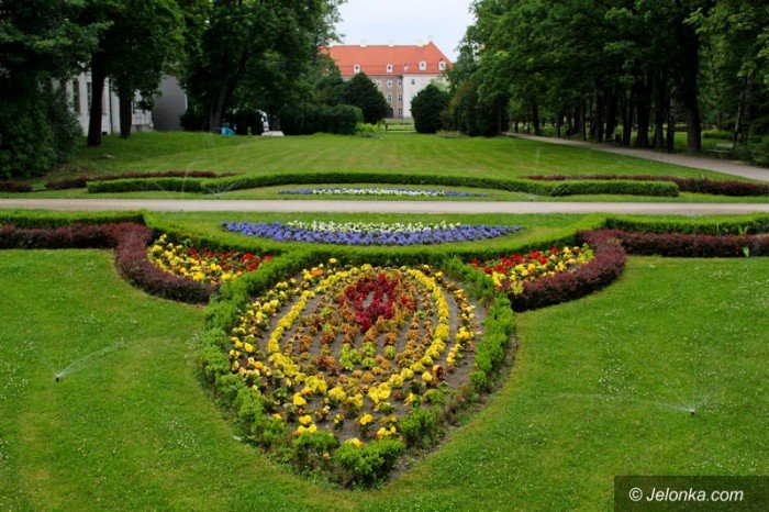 ponad-18-tysiecy-nowych-nasadzen-w-parku-zdrojowym-foto-58533