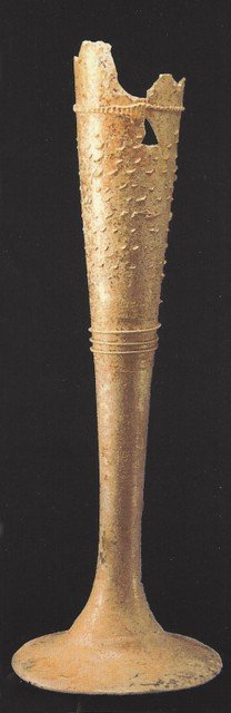 Puchar typu flet (Czechy)