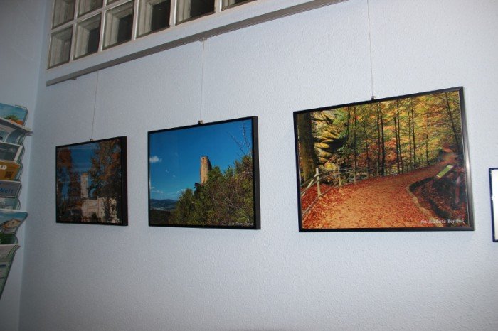 piekno-naszego-regionu-na-fotografii-w-bambergu-foto-58555