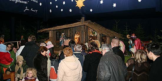 zywa-szopka-5858