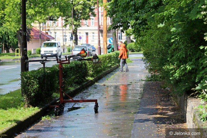 przycinaja-krzewy-wzduz-ulic-jest-bezpieczniej-foto-58600