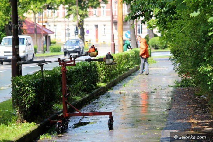 przycinaja-krzewy-wzduz-ulic-jest-bezpieczniej-foto-58600