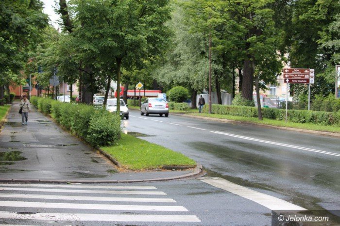 przycinaja-krzewy-wzduz-ulic-jest-bezpieczniej-foto-58600