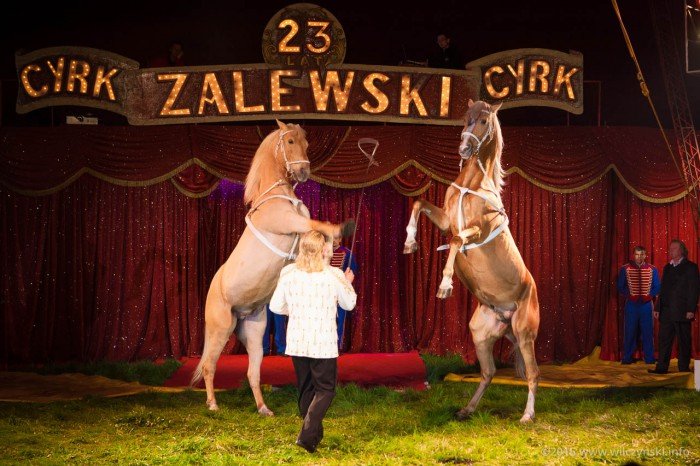 cyrk-zalewski-w-jeleniej-gorze-mamy-wejsciowki-foto-58622