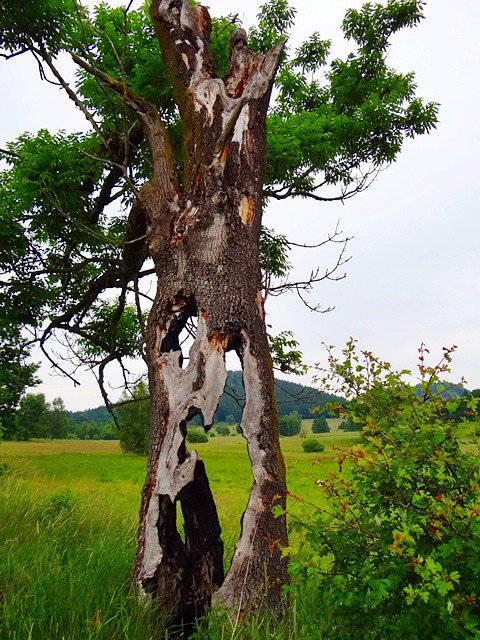 kolejna-wyprawa-z-kijkami-i-atrakcjami-foto-58673